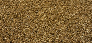 Twilight 39001_2288 gold