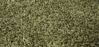 Twilight 39001_4444 green