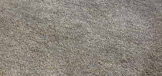 Harlequin Plain Coffee