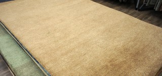 Harlequin 19 Plain Amber