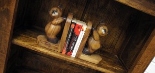 Kanpur Bookcases