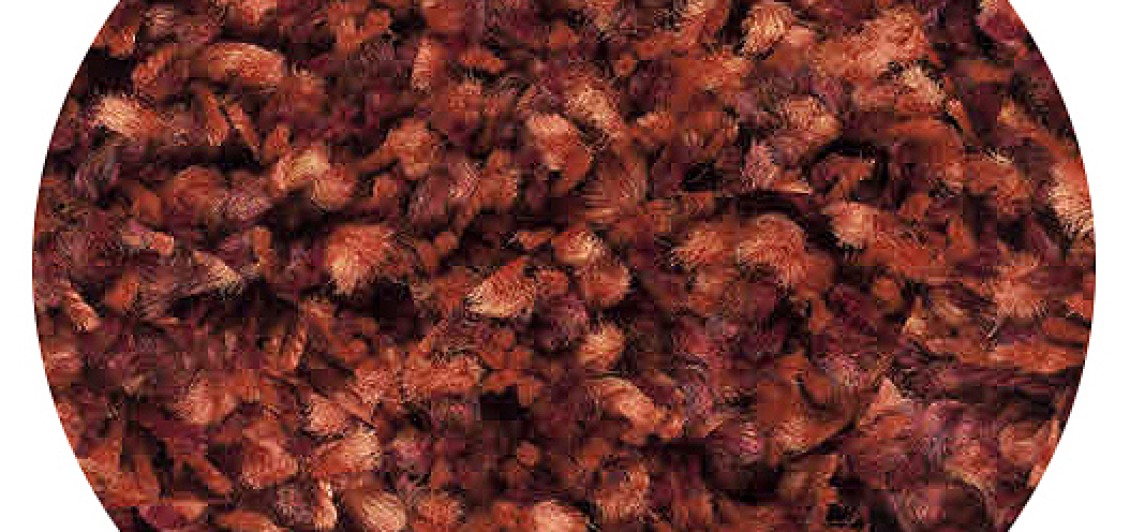 Twilight Rug 39001_1188 Terracotta