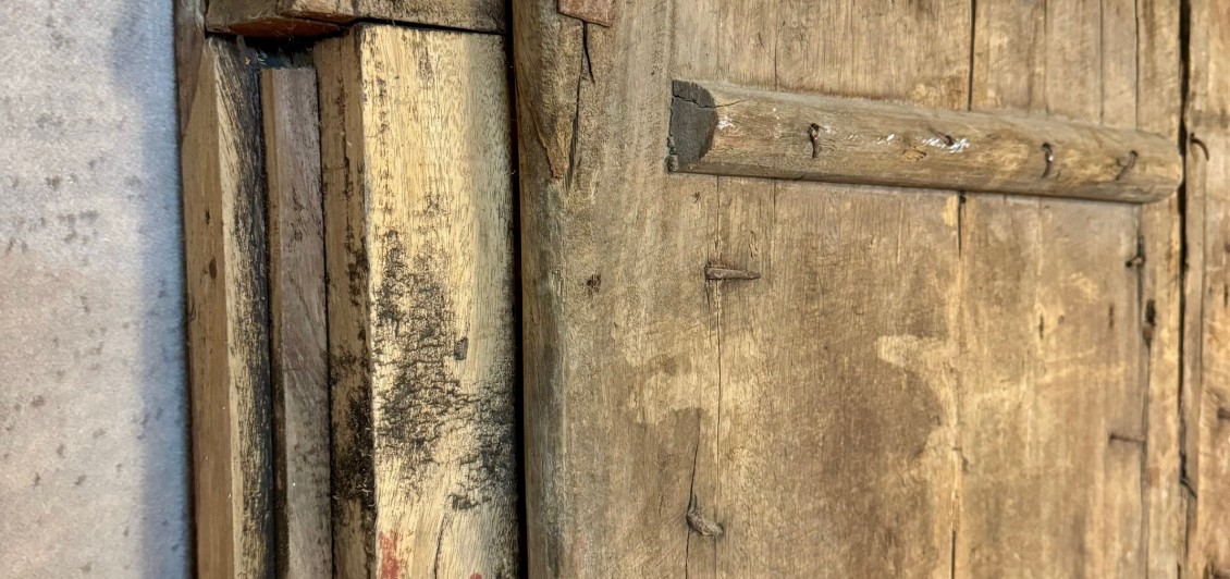 Antique 'Hawk' Doors with Frame