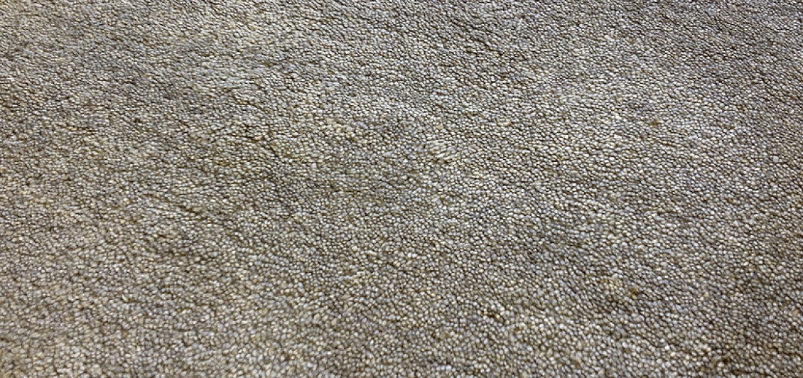 Harlequin Plain Coffee